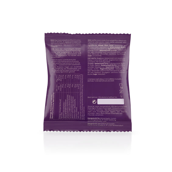 protein bites (10x)