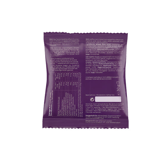 protein bites (10x)